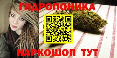 a pvp Рыбинск