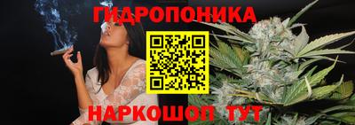 a pvp Рыбинск