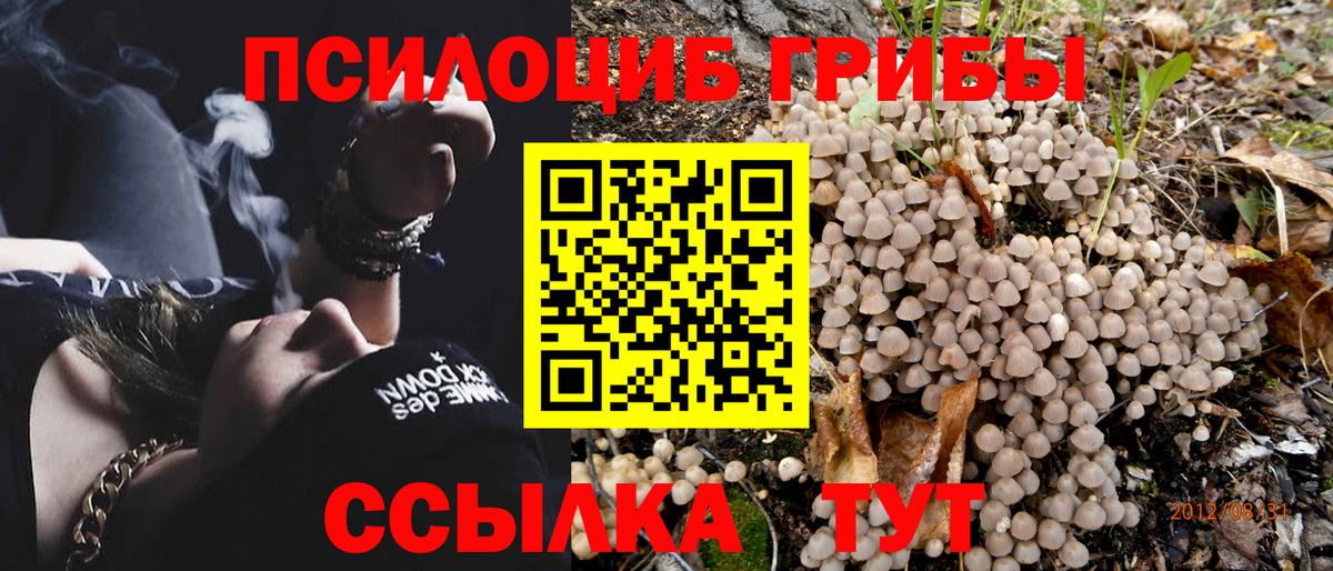 Гашиш  Сафоново  Cocaine  Вход с VPN  АМФЕТАМИН   МЕФ кристаллы  Каннабис 