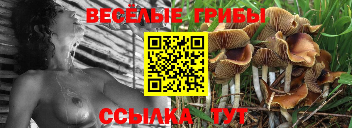 Сафоново  Псилоцибиновые грибы прущие грибы  Вход с VPN  купить наркотики сайты  Псилоцибиновые грибы Cubensis 