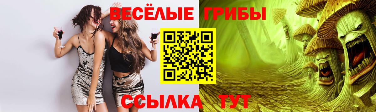 Псилоцибиновые грибы мицелий Сафоново